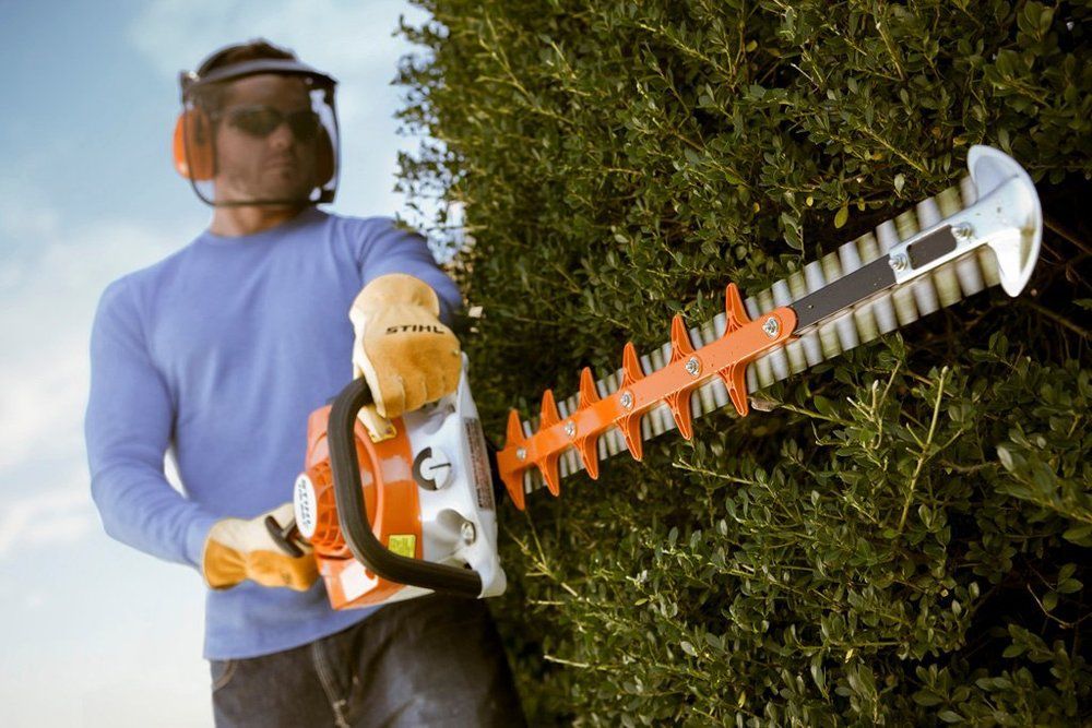 Person wearing safety gear using a hedge trimmer on a green bush.
