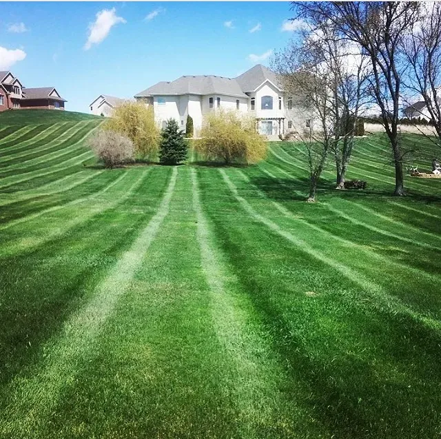 Lawn with alternating stripes of light and dark green in front of a large house on a sunny day.