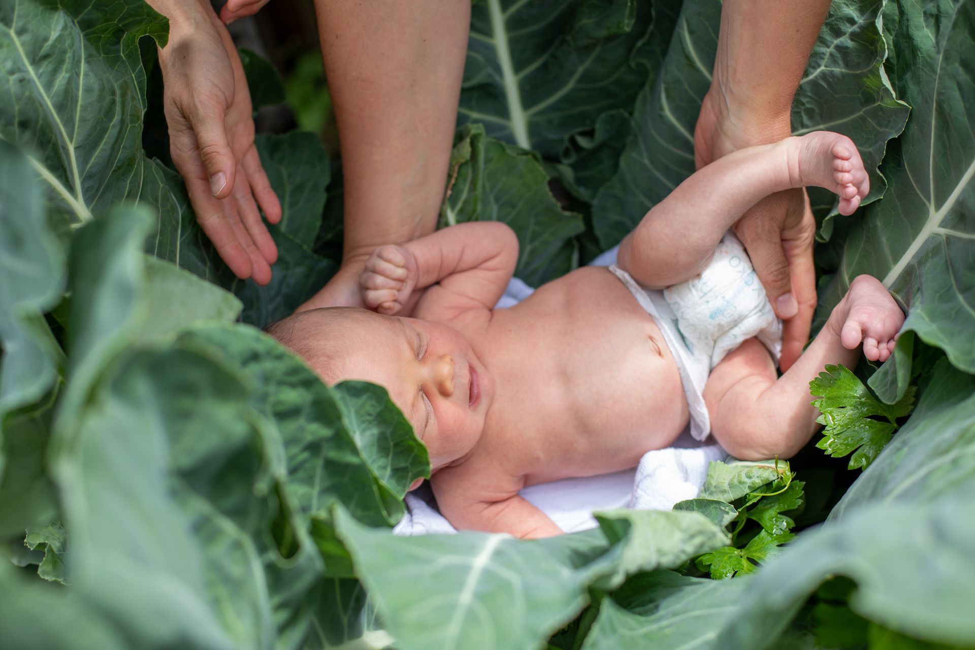 A picture of a baby
