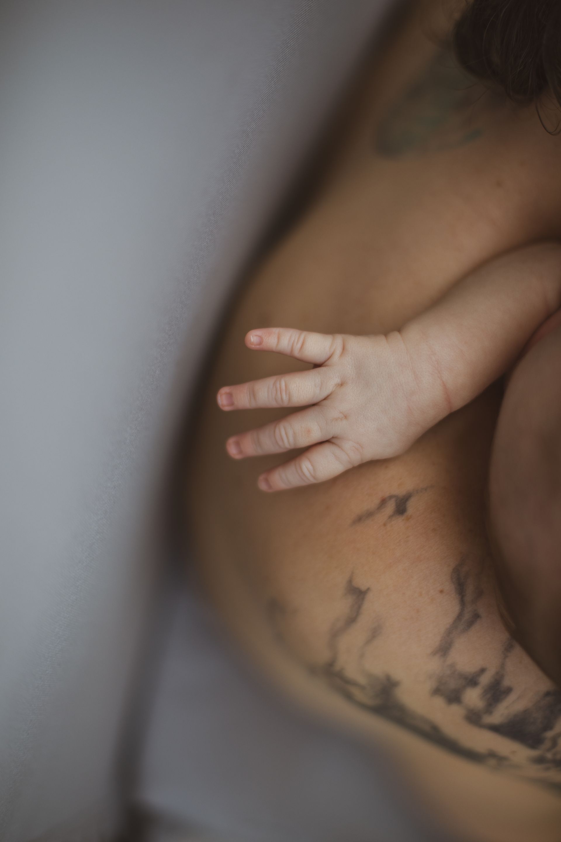 A close up of a baby 's hand on a parent's tattooed arm.