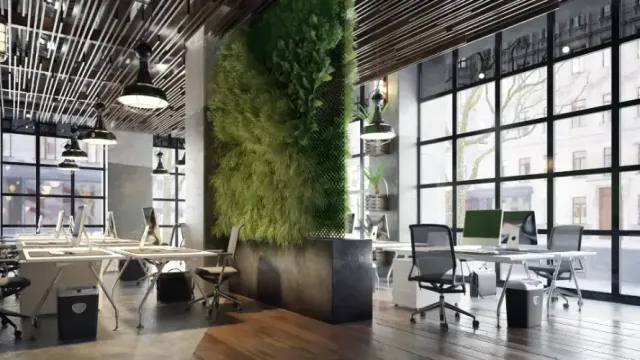 A modern office with lots of windows and a green wall.