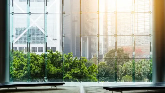 A large window with a view of a city and trees.