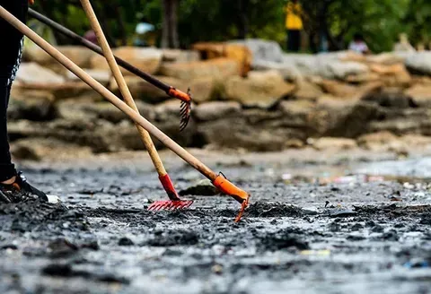 Workers Raking The Mud — Lenexa, Kansas — Apex Environmental Consultants Workers Raking The Mud — Lenexa, Kansas — Apex Environmental Consultants