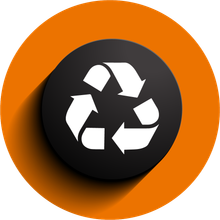 Eco Friendly Icon