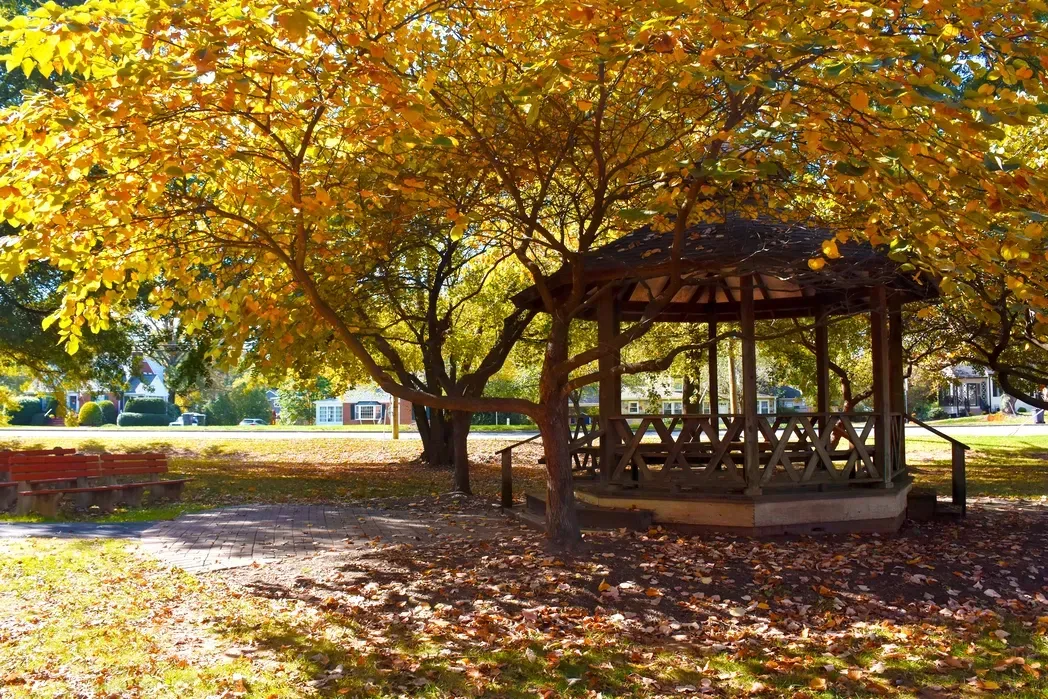 falls church patient transportation virginia