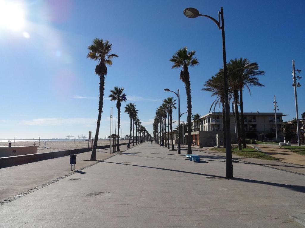 A sunlit paved boardwalk lined with tall palm trees, stretching alongside a sandy beach under a clear blue sky.