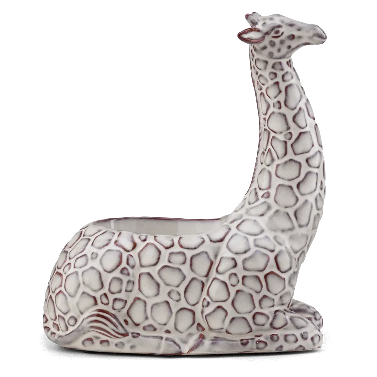 Giraffe Warmer