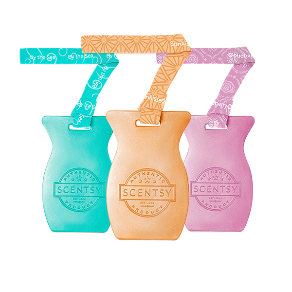 Scentsy Car Bars