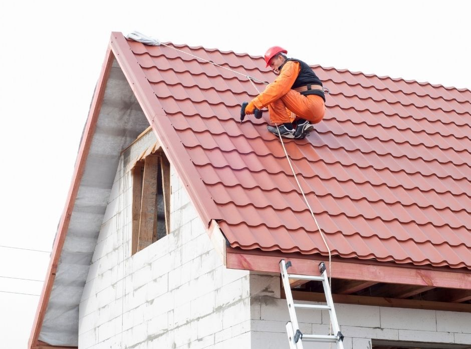 shingle roof