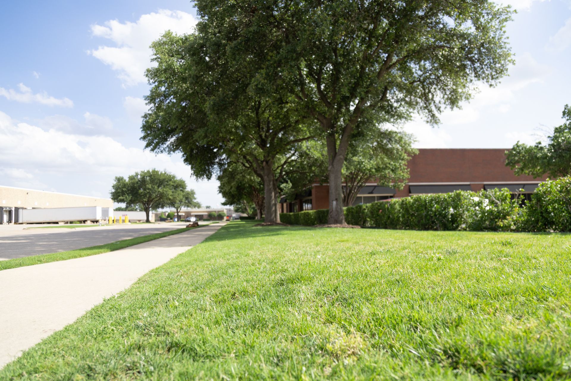 Green grass and trees line a sidewalk on a sunny day in front of a building.