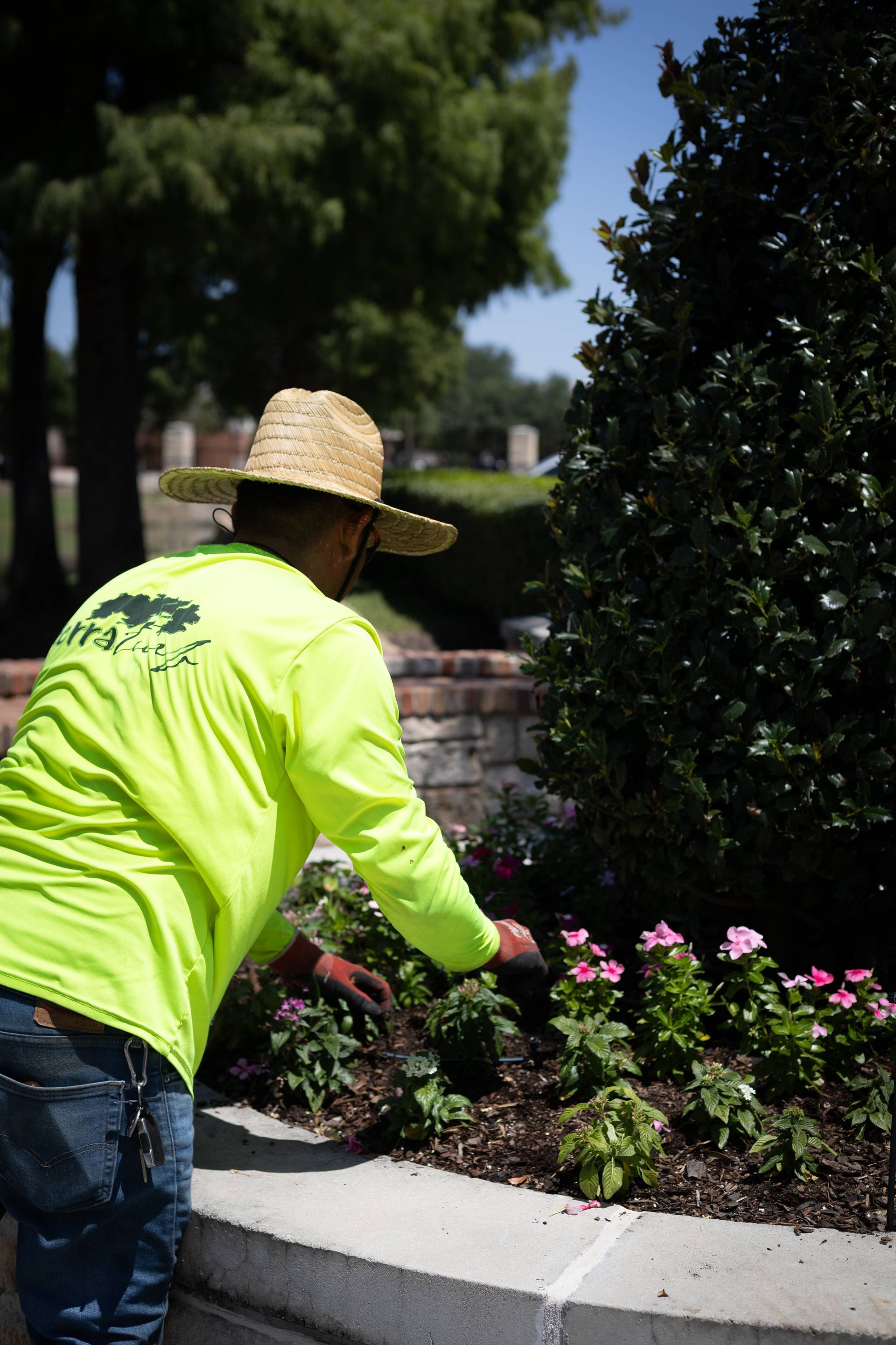Man gardening, wearing a straw hat and neon green shirt, tending flowers in a flower bed.