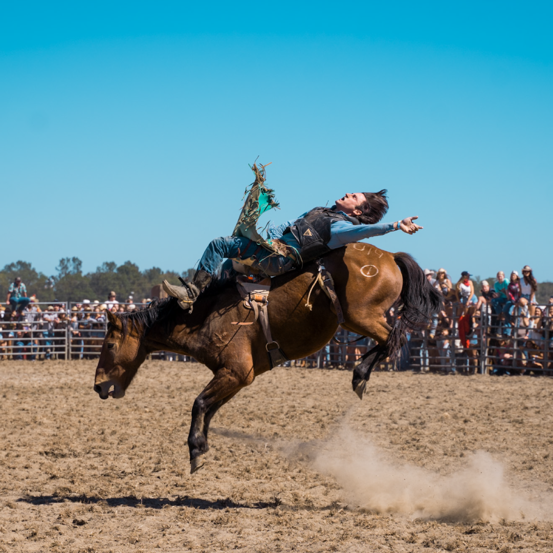 Parker McCollum Live at the Auburn Rodeo
