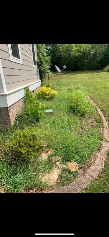 Overgrown garden bed with weeds and yellow flowers beside a house and curved brick edging