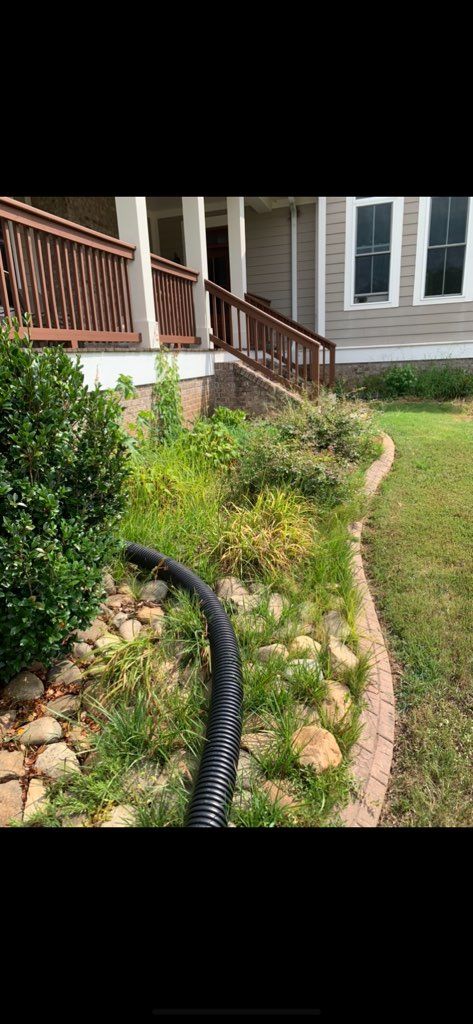 Curved garden bed with black edging, green shrubs, and a house porch with steps and windows in the background