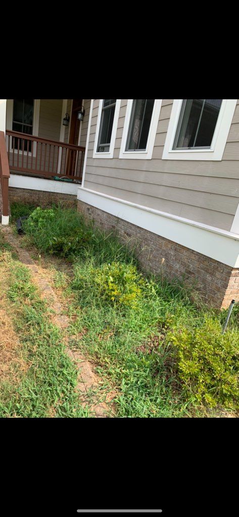 Side of a house with beige siding, white-trimmed windows, and a narrow garden bed with green shrubs and grass.