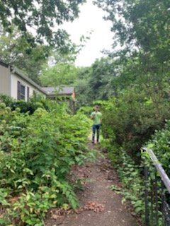 Person in a green shirt standing on a narrow overgrown path beside a house and black fence.
