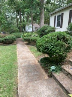 Concrete walkway beside a house through a green, landscaped yard with shrubs and trees