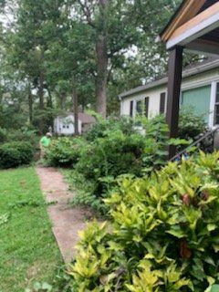 Person in green shirt walking along a garden path beside a house and lush shrubs.