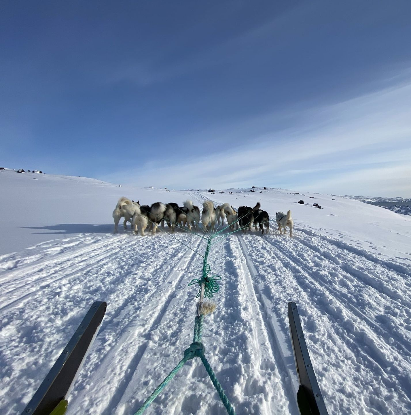 Hundeslædehold trækker slæde hen over et snedækket landskab under blå himmel.