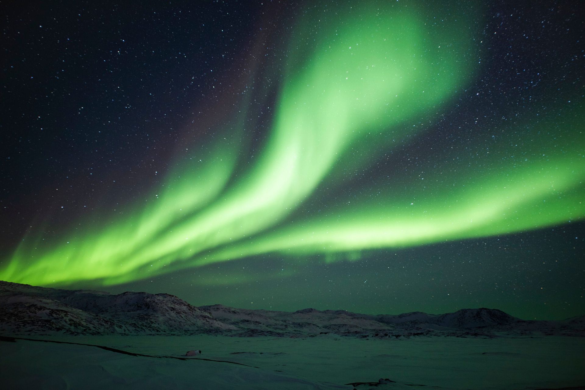 Grønt nordlys hvirvler hen over en mørk himmel over et snedækket landskab.