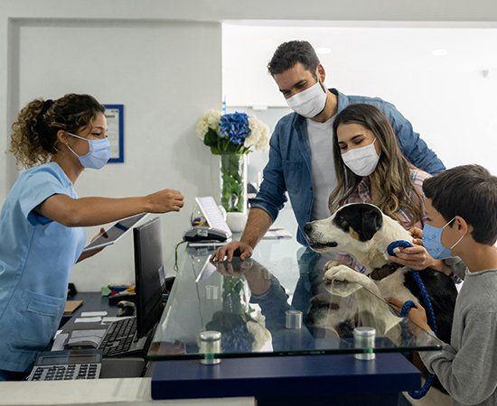 Happy Family At Vet — Banner Elk, NC — High Country Animal Clinic PA Happy Family At Vet — Banner Elk, NC — High Country Animal Clinic PA