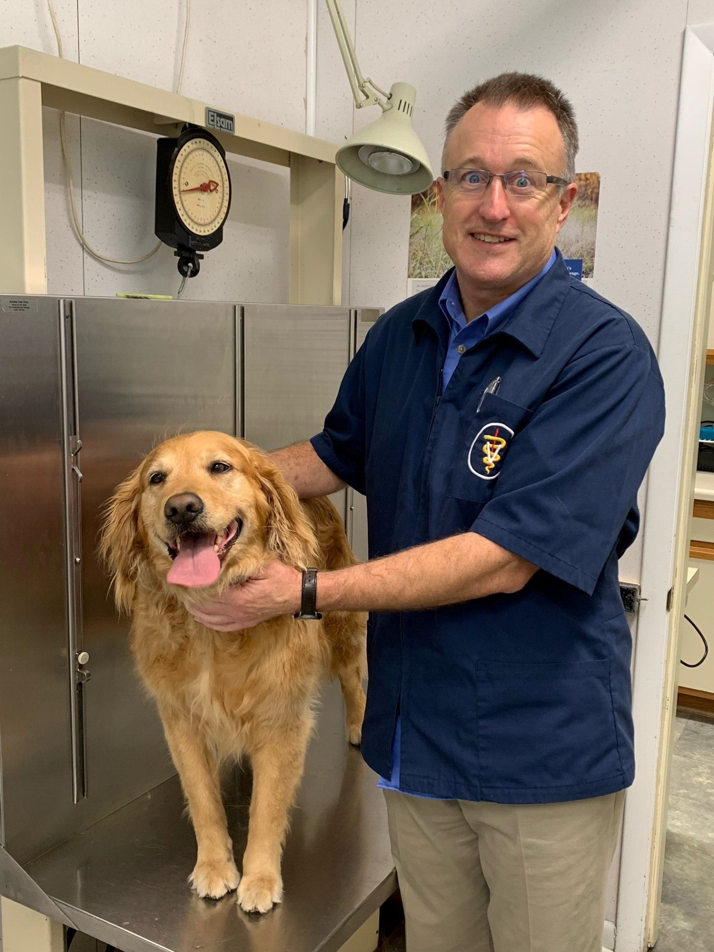 Smiling Female Veterinarian — Banner Elk, NC — High Country Animal Clinic PA