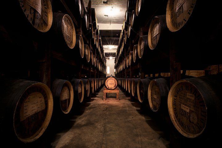 Ron Del Barrilito's wine barrels in visitor center project by DEV Builders Group