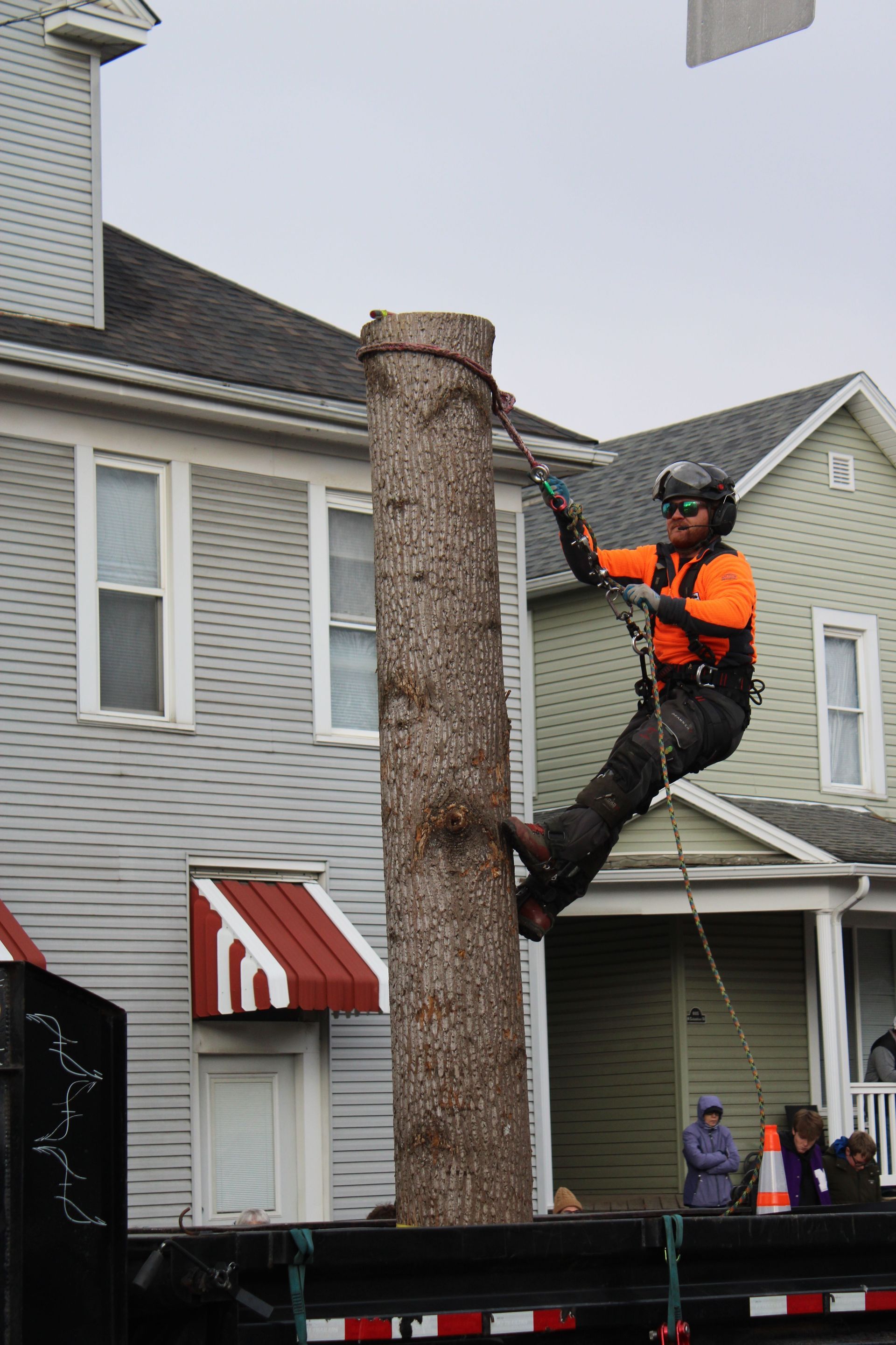 Climber taking down a tree in sections beside a house