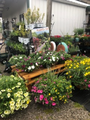 Flower display outside a shop with colorful potted plants and blooming flowers on wooden carts.