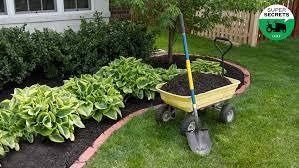Garden cart with a yellow tray and shovel beside a row of green plants on a lawn.