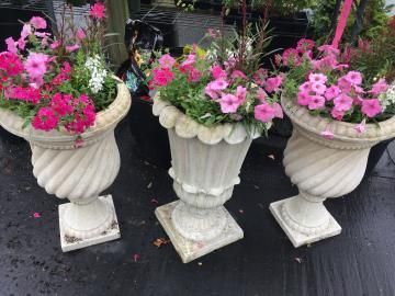 Three white pedestal planters filled with pink flowers on a wet pavement