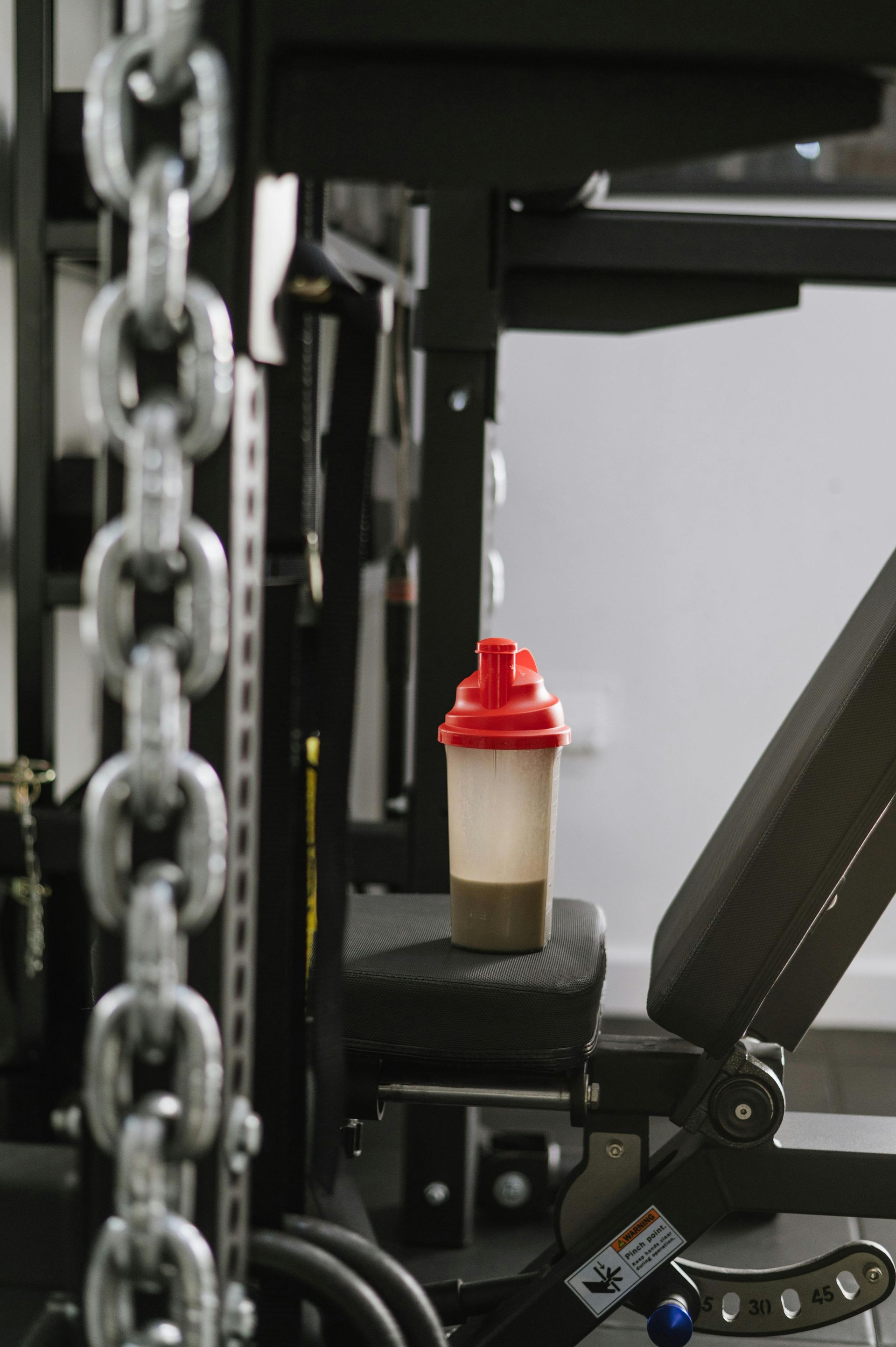 Protein Intake Estimator
