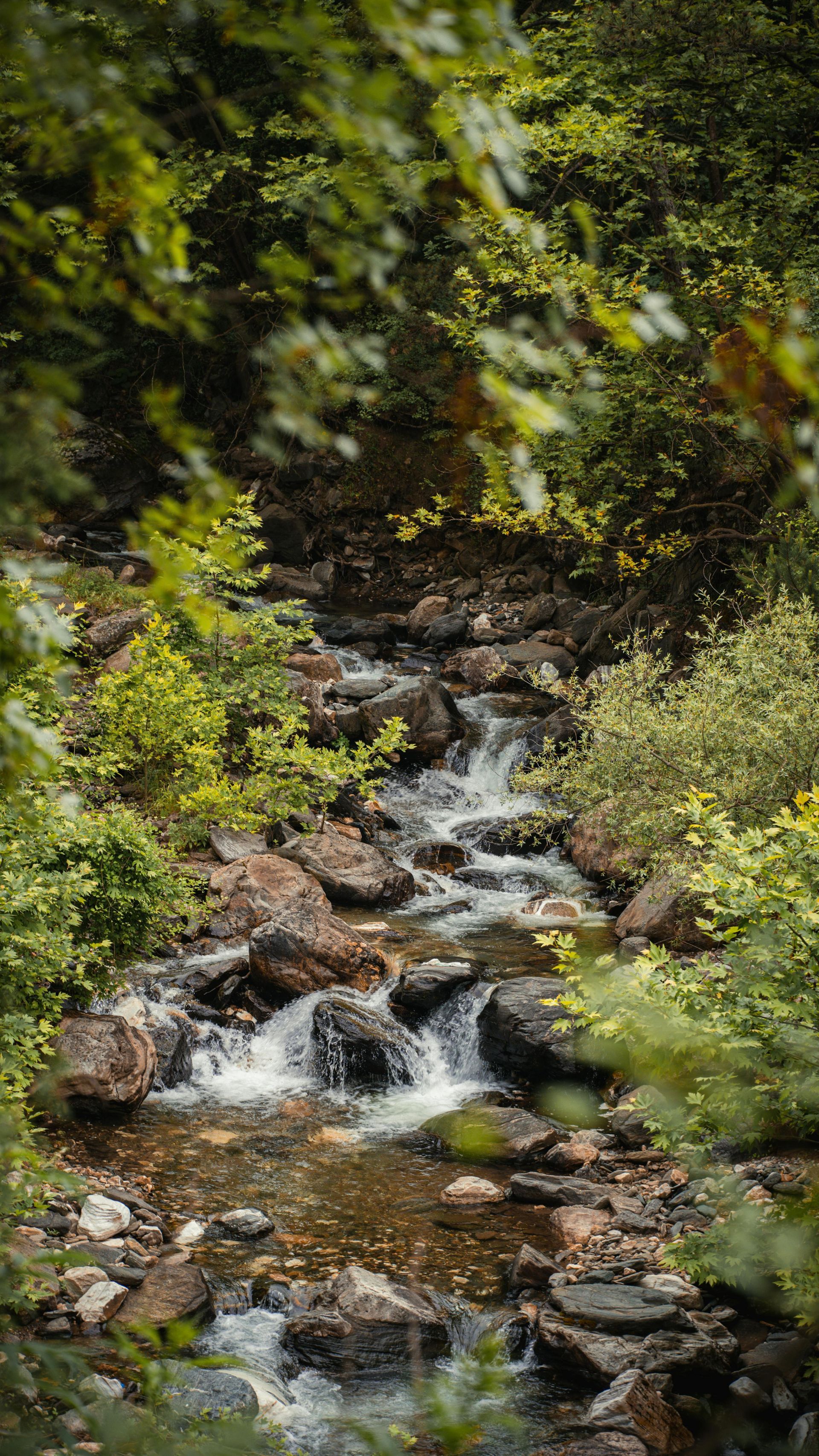 nature