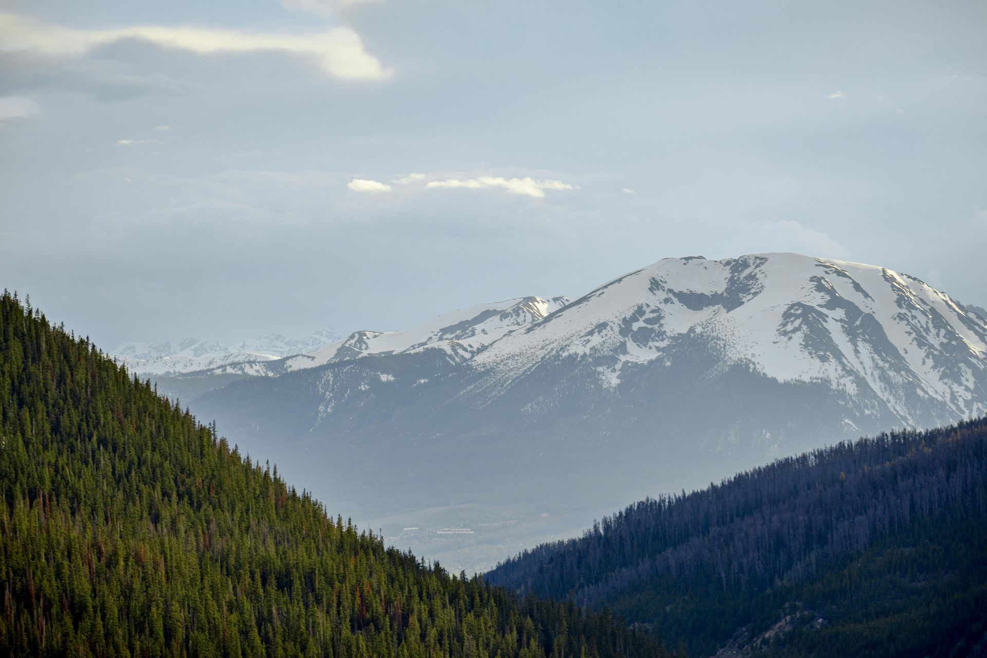 Snow-capped mountain above dark green forest under a cloudy sky