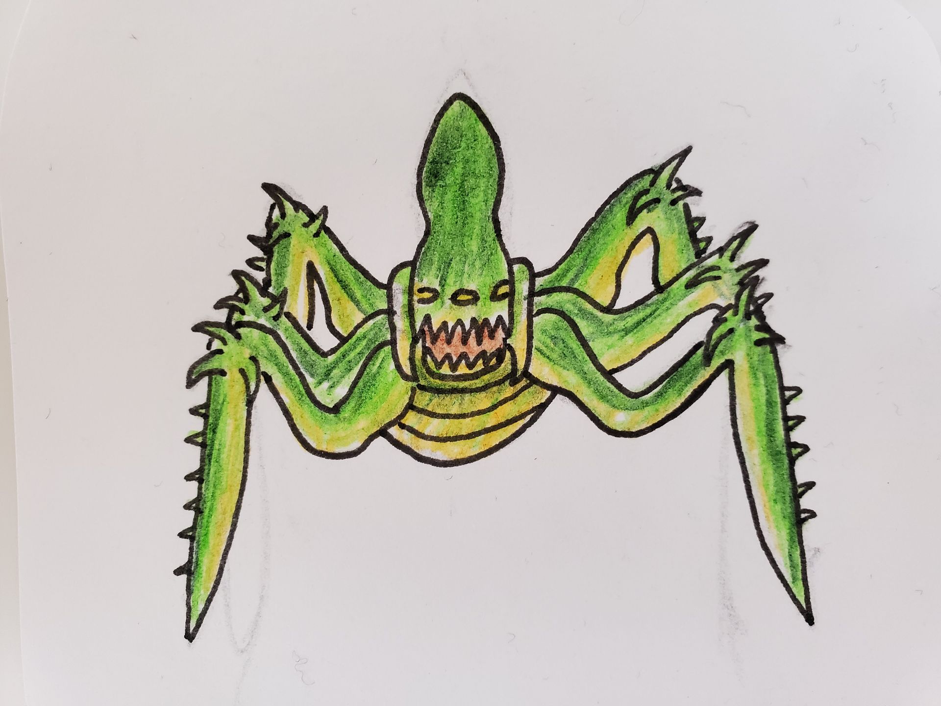 Acklay drawing