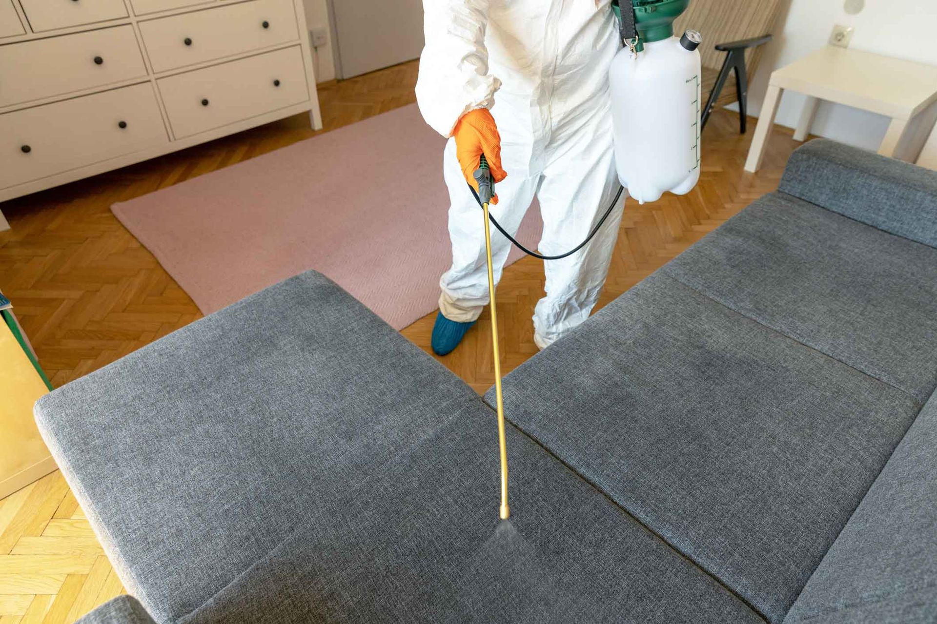 Pest control worker spraying treatment on gray carpet in a living room Pest control worker spraying treatment on gray carpet in a living room
