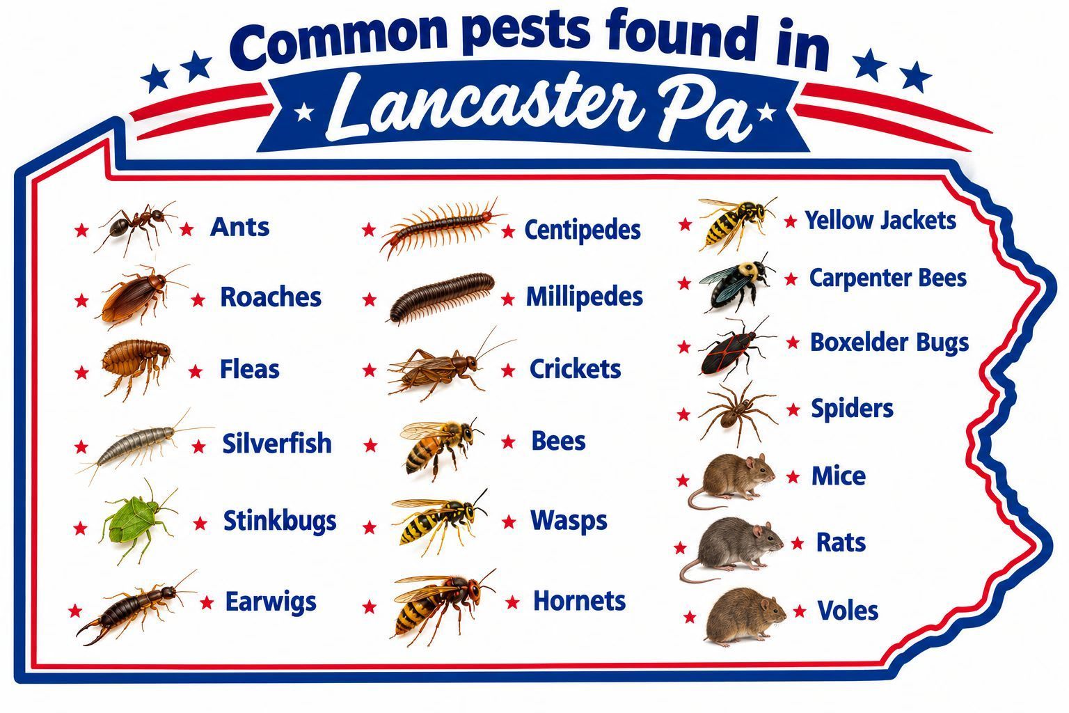 Poster listing common pests in Lancaster, Pa., with illustrated insects and rodents on a white background.