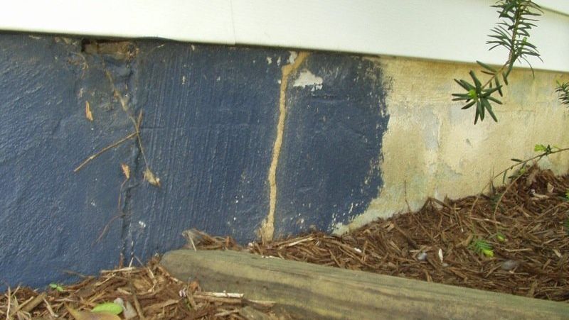 A muddy termite tube runs vertically up a blue-painted concrete foundation wall near mulch and siding.