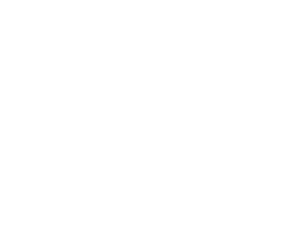Paint Smart Solutions Paint Smart Solutions