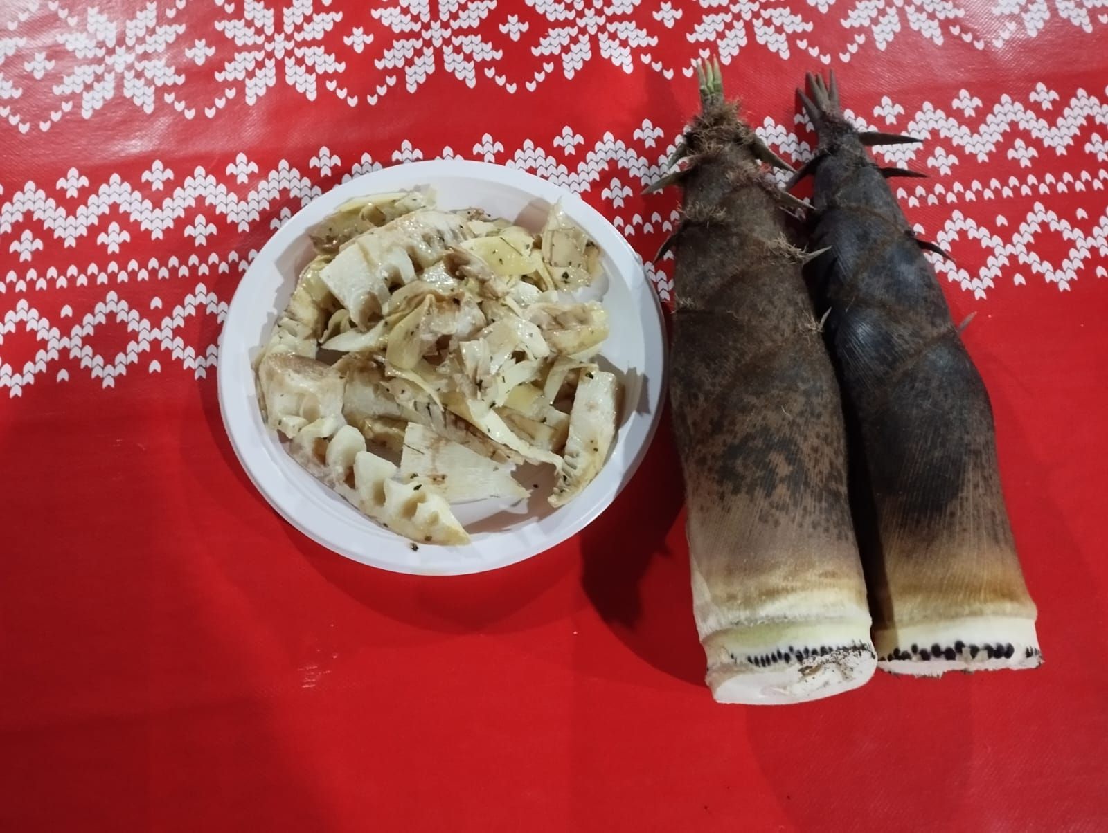 germogli in bambù