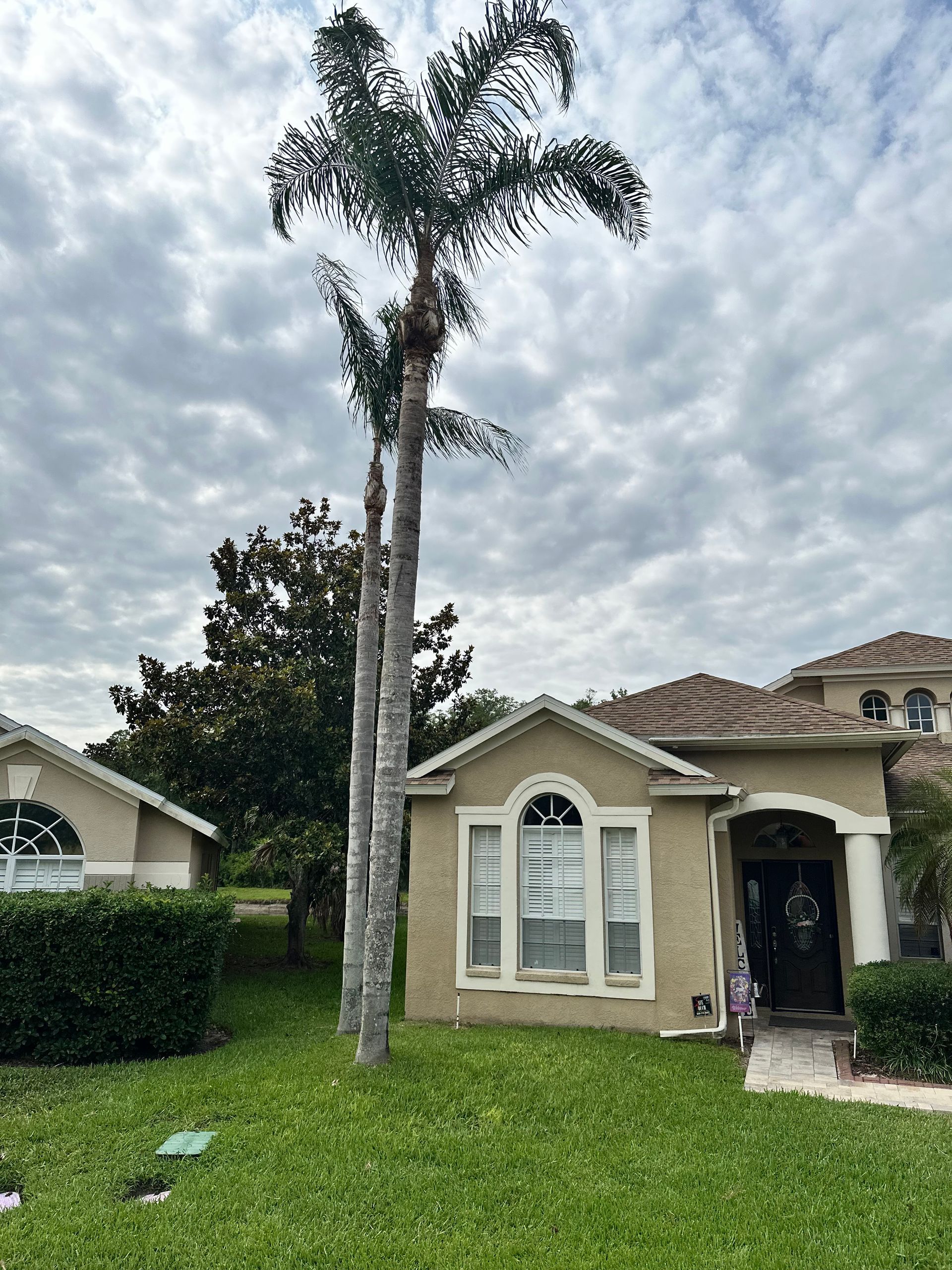 Tan house with two tall palm trees against a cloudy sky.