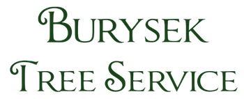 Logo for Burysek Tree Service in dark green script.