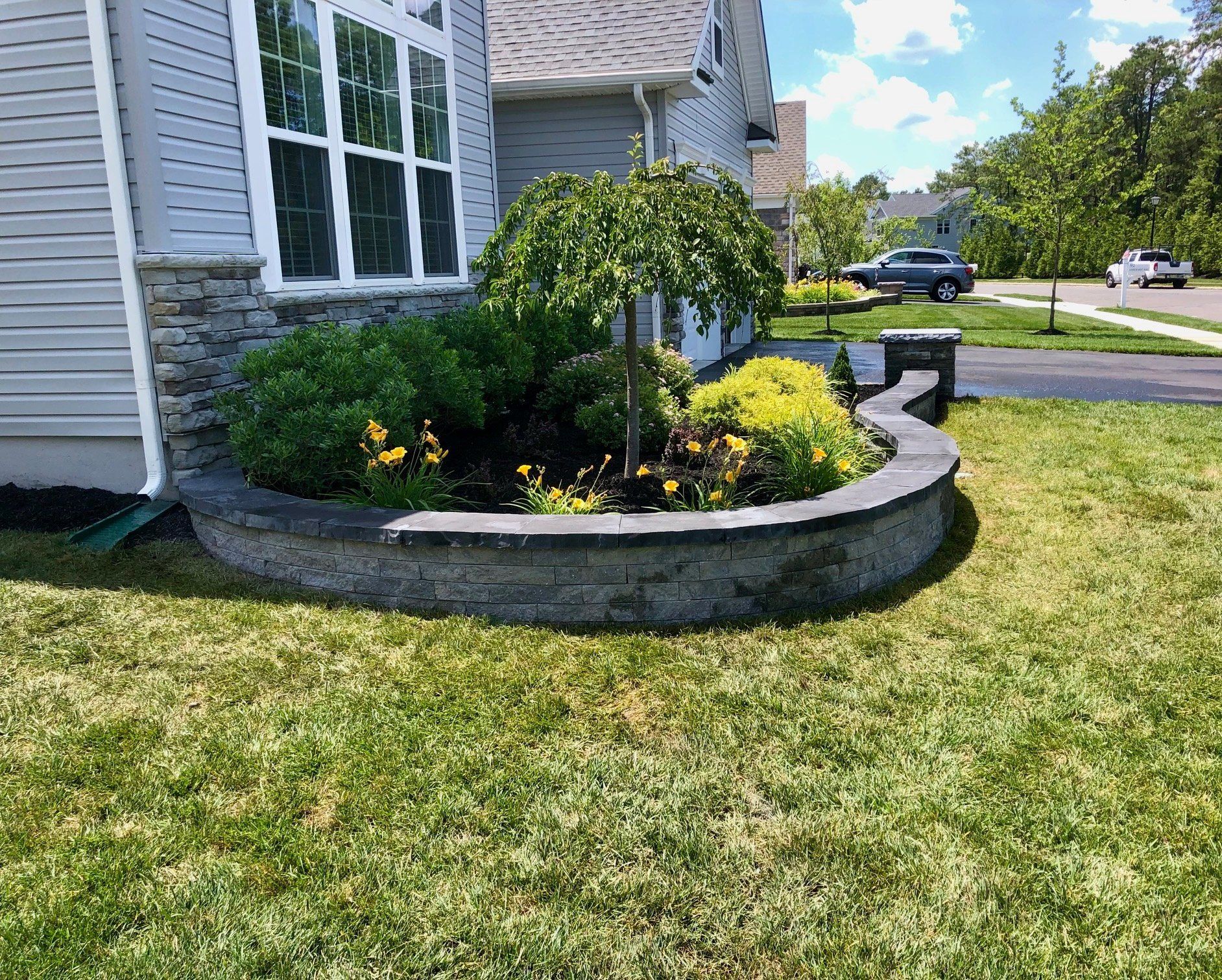 Curved stone flower bed in front yard, with various green and yellow plants.