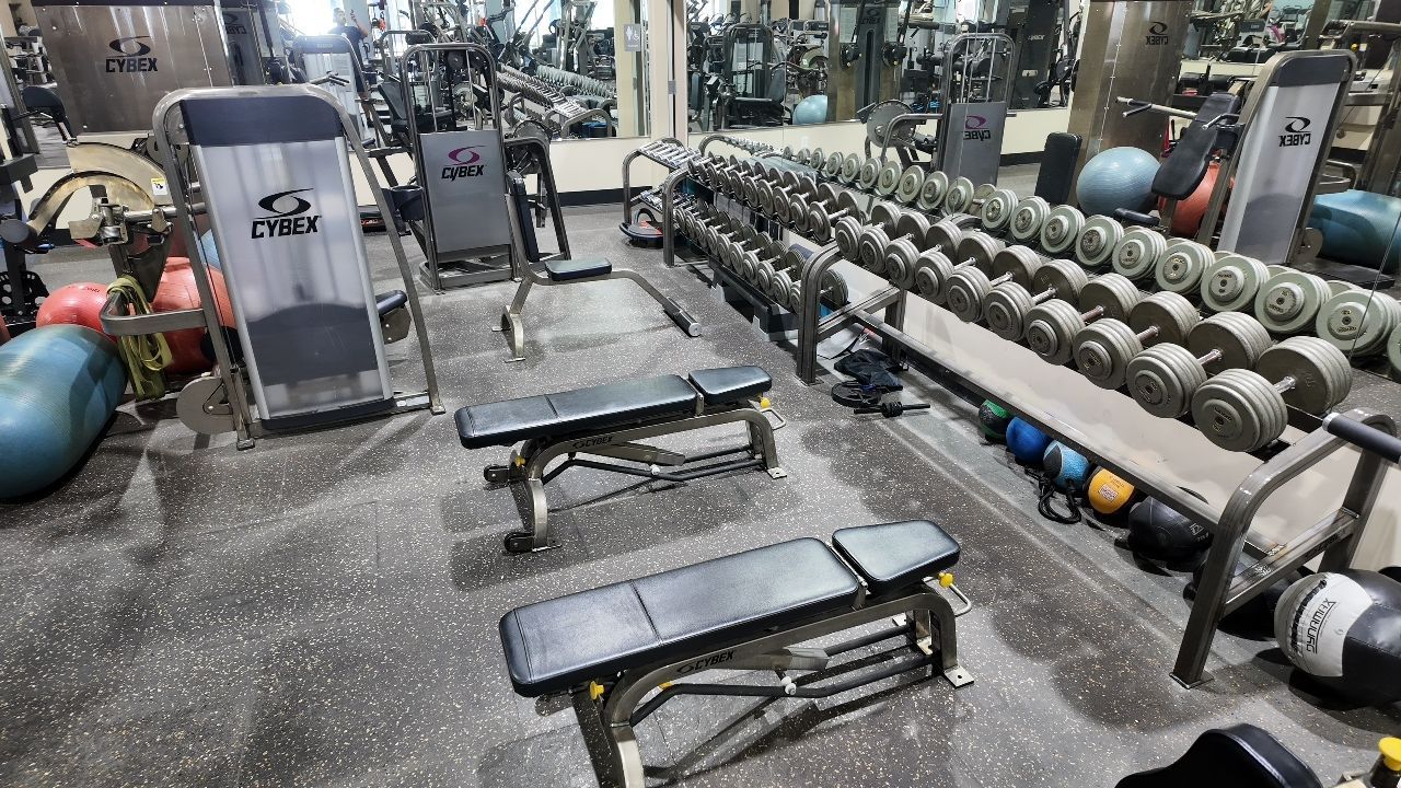 Bodies By Mahmood Sports & Fitness
