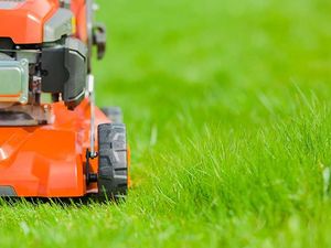 New clean orange lawn mower