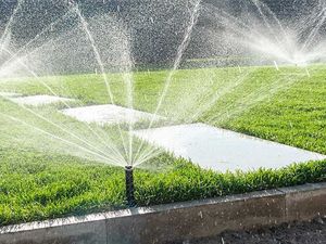 Garden irrigation system lawn