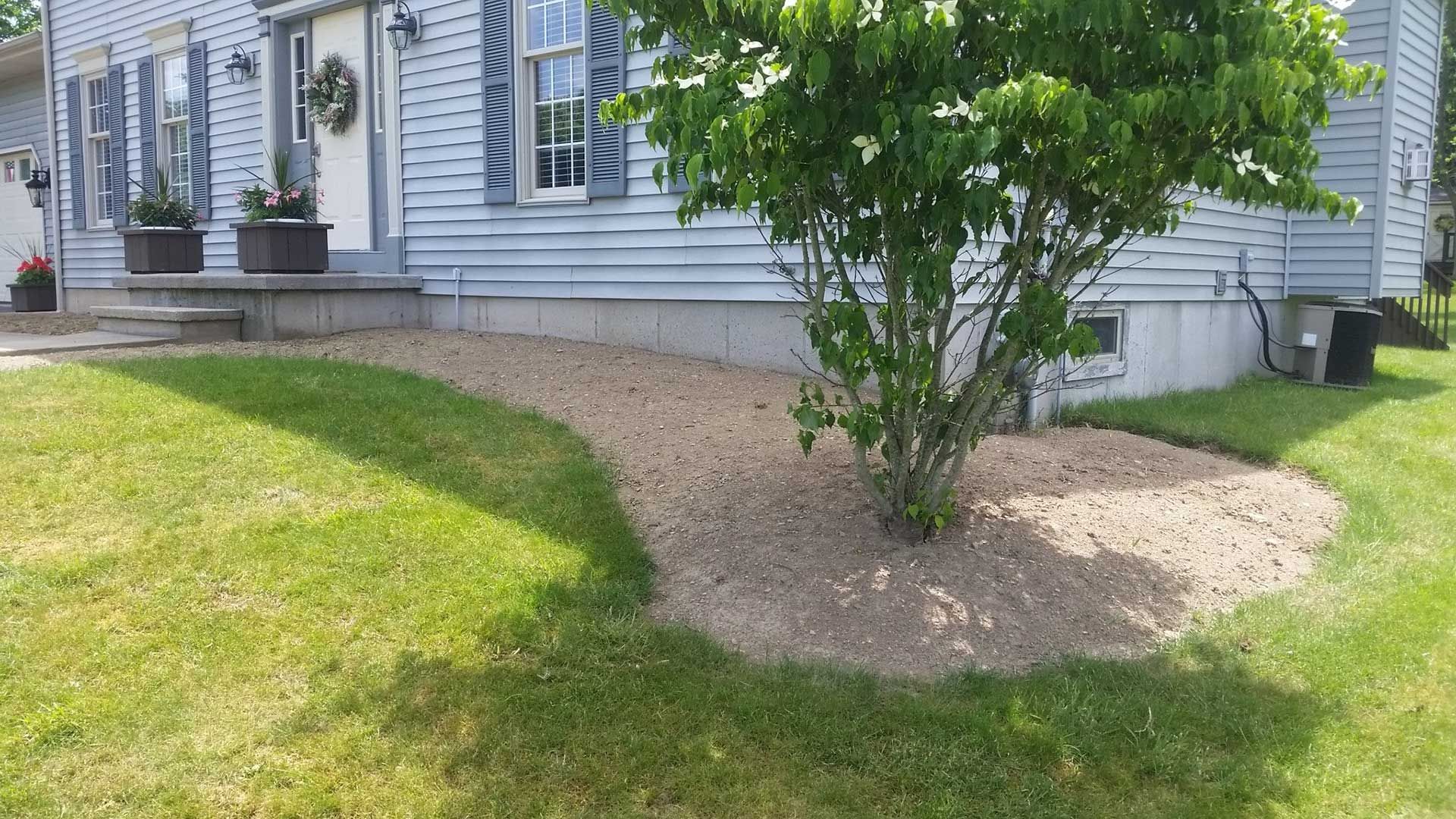 small tree in right corner of the front of the house