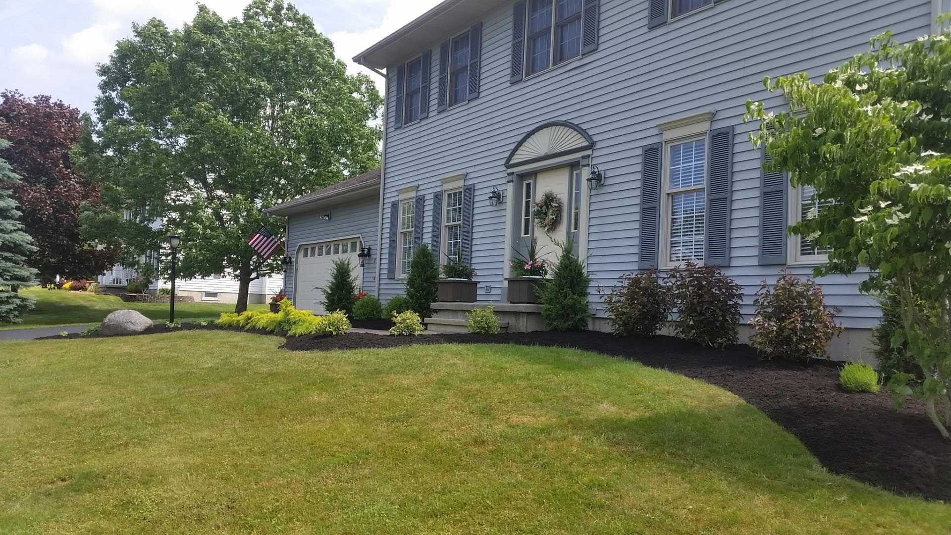 shrubs and mulch in flowerbed