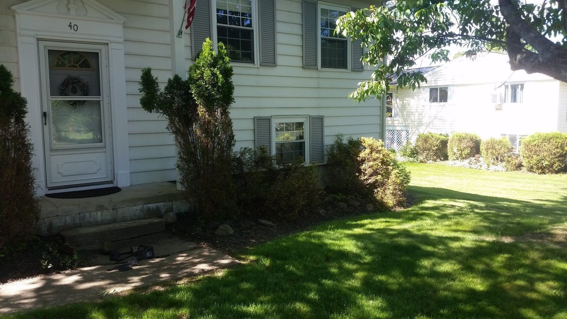 shrubs in landscaping