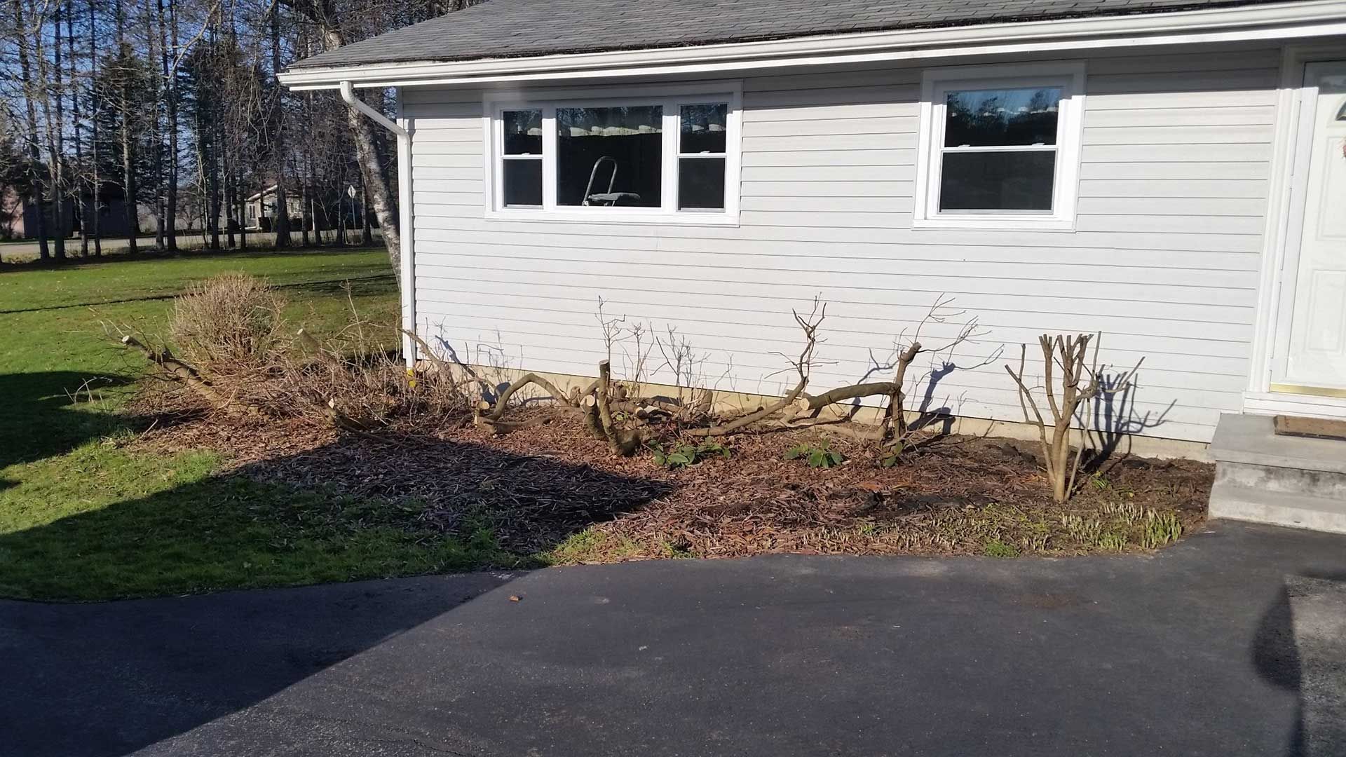 front of house with dead shrubs